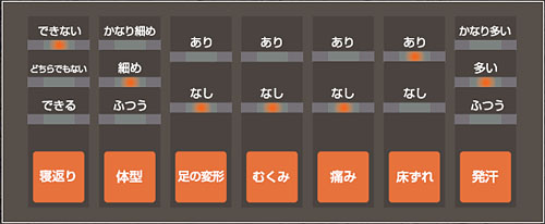 モルテン グランデ アセスメントフィッティングモード
